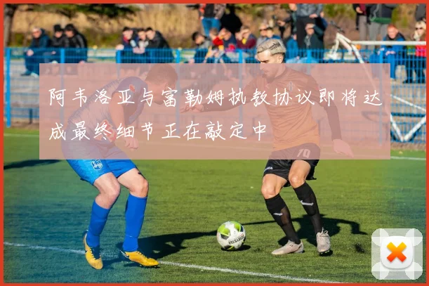 阿韦洛亚与富勒姆执教协议即将达成最终细节正在敲定中