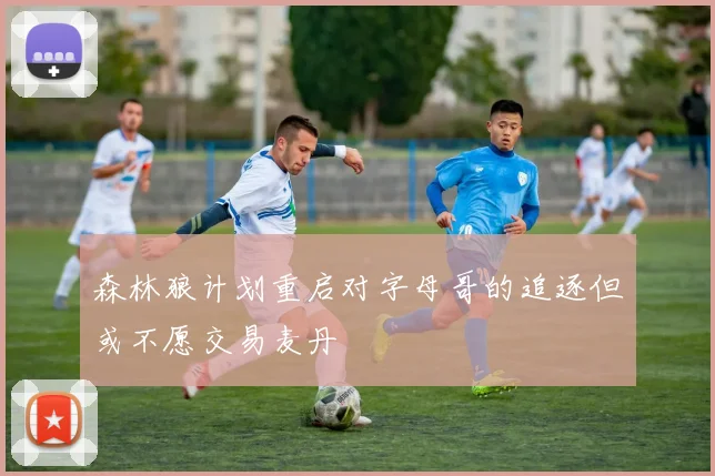 森林狼计划重启对字母哥的追逐但或不愿交易麦丹